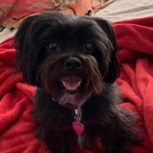 Meet your Posher, Justine